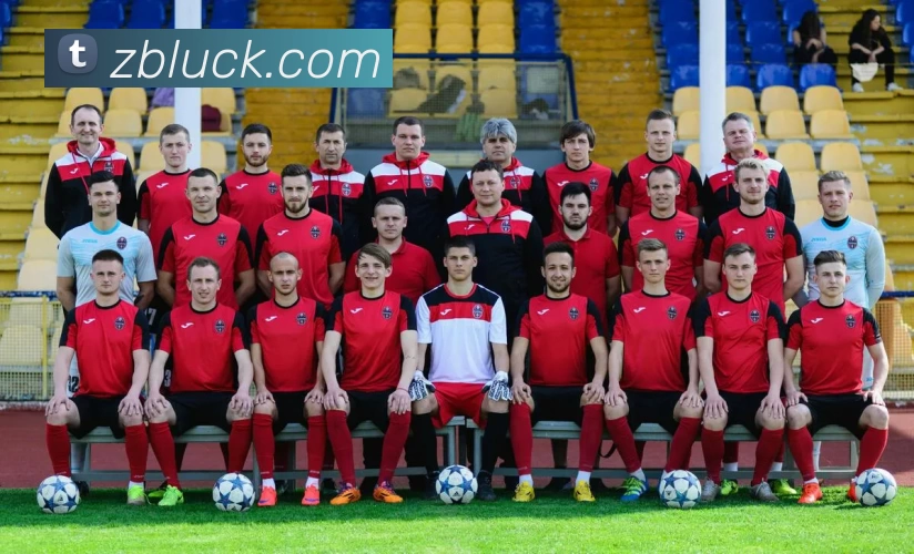 众宝娱乐官网平台生态图